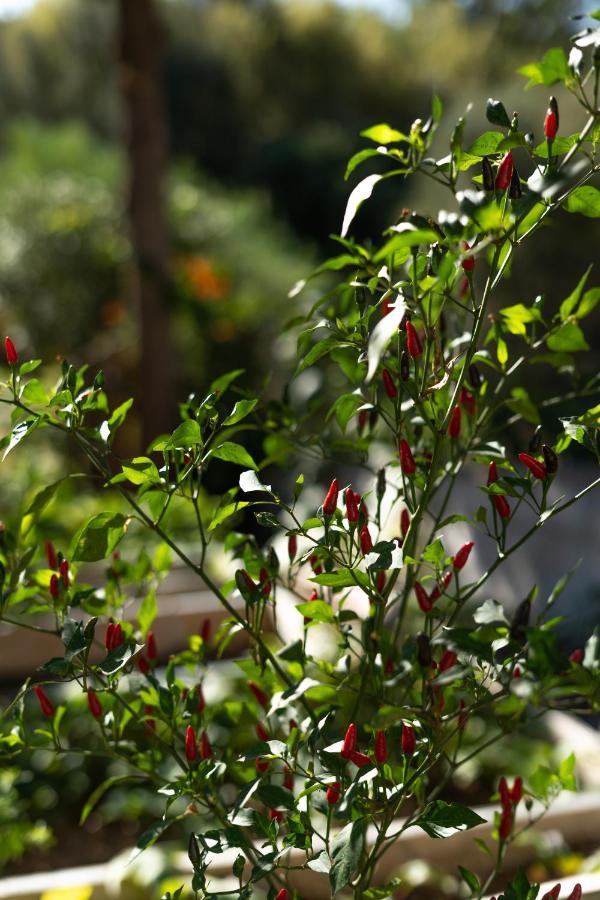 A Natural Retreat Mijas Εξωτερικό φωτογραφία