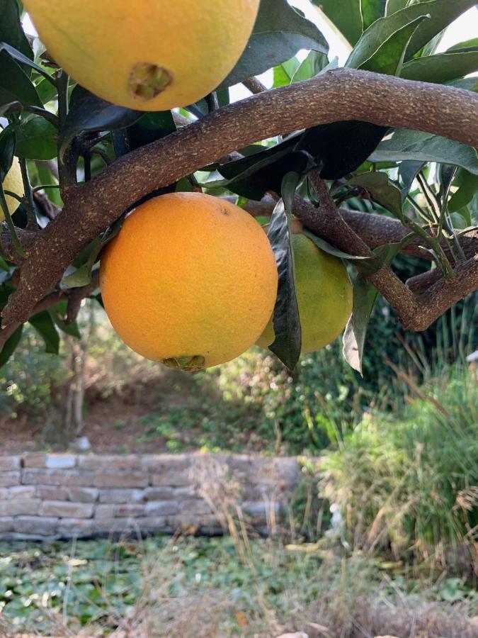 A Natural Retreat Mijas Εξωτερικό φωτογραφία